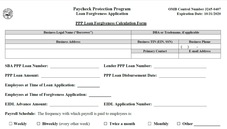 PPP Loan Forgiveness Form